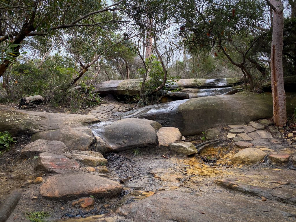 Manly Dam trail