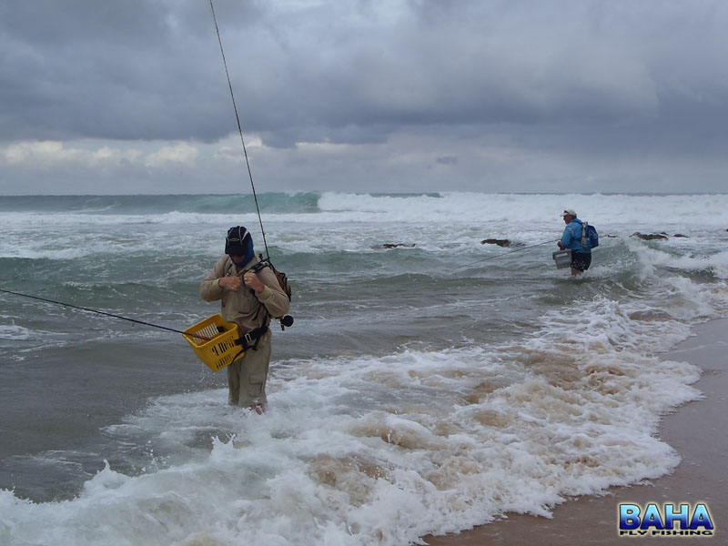 Cape Vidal - Another Trip With The DFT - Baha Adventures