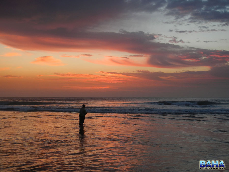 Pre-work Surf Session