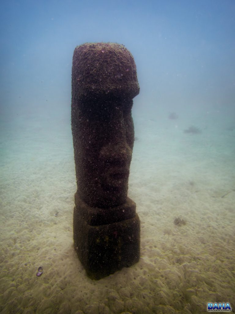 An underwater Easter Island Moai at Clifton Gardens